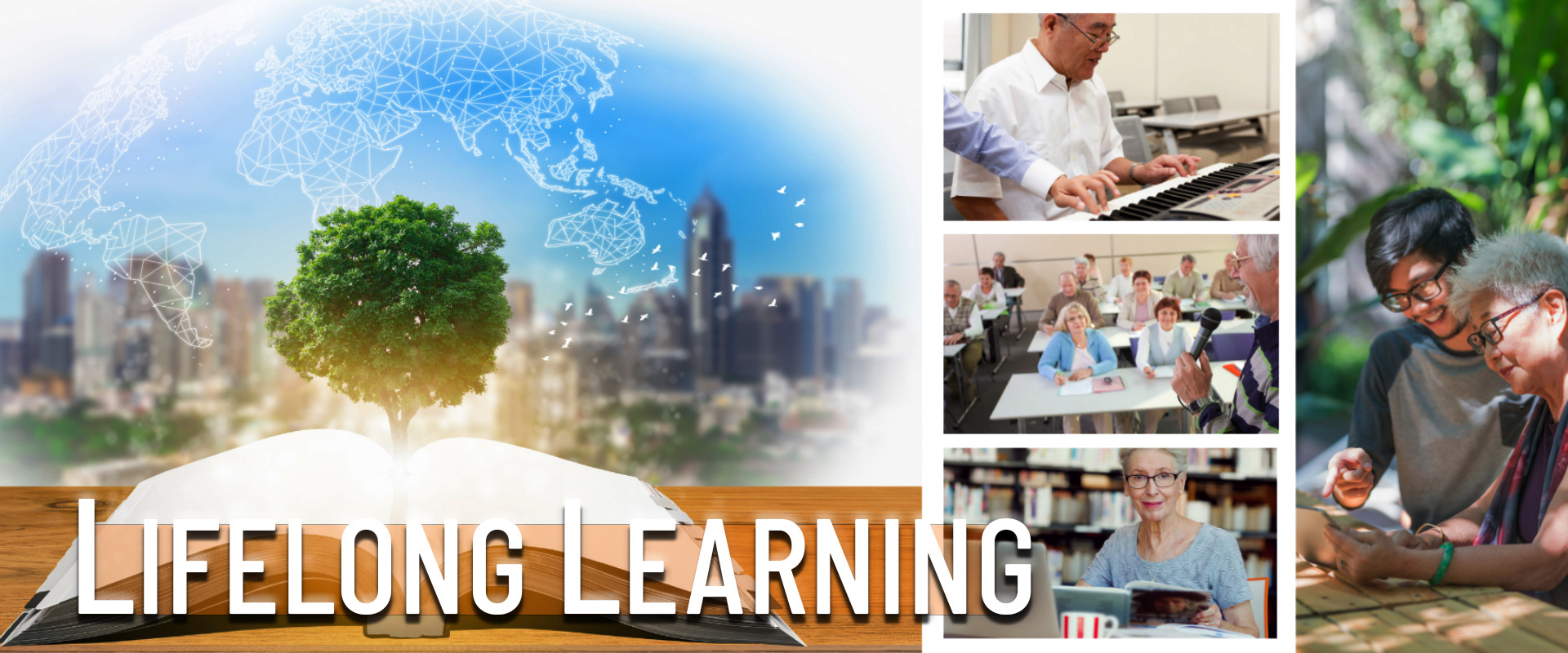 Lifelong Learning